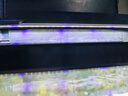 吉印刀锋s鱼缸灯led灯防水全光谱鱼缸照明灯水草灯小型超白鱼灯36cm 实拍图