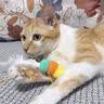 BNBNO猫咪悠悠球猫玩具自动逗猫棒自嗨解闷神器小猫消耗体力用品 实拍图