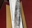 卖鱼七郎青岛海捕非养殖大鲅鱼2.5-3.5斤净重超大马鲛鱼海鲜鱼类源头直发 实拍图