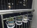 铁艺优选花架栏杆花架护栏挂式花盆架悬挂吊篮架摆放阳台置物架 加粗【白色6件】 实拍图