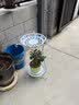 吕姆克花架阳台客厅置物架白色双层植物盆栽现代简约组装落地式架子6124 实拍图
