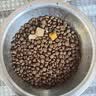 喜帅苜蓿草双拼冻干兔粮 兔子饲料幼兔成兔营养粮垂耳兔粮2.5kg 实拍图