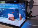米家智能生态鱼缸定时喂食智能鱼缸+画法几何增氧泵套装 实拍图