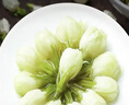 参庆堂 茉莉花80g 原产茉莉花苞 茉莉花茶叶新花干花 清香花蕾 实拍图