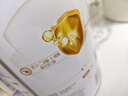 伊利金领冠育护幼儿配方奶粉3段12-36个月900g*1罐【5倍DHA好脑力】 实拍图