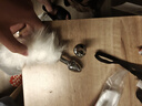 谜姬sm成人情趣性用品后庭超小猫狐狸尾巴入肛门塞奴隶生理羞耻玩道具 实拍图