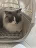 华元宠具（hoopet）宠物航空箱猫包猫咪外出便携笼子狗狗笼子托运猫箱车载太空舱大号 实拍图
