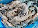 鲜京采 鲜冻大号黑虎虾 去冰净重2斤 31-40只/盒 斑节对虾 实拍图