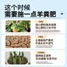 纯羊粪发酵有机肥料10斤种蔬菜园养花水果树农家用肥料通用型批发 内蒙古发酵纯羊粪肥100斤 实拍图
