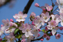 索尼（SONY）FE 70-200mm 二代新一代小三元远摄变焦微距G镜头（SEL70200G2） 实拍图