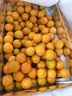 广西融安金桔当季新鲜水果柑橘脆蜜滑皮金柑年货送礼物产地直发 【6号果】净重3斤（分享装） 实拍图