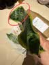 佰花锦金边虎皮兰盆栽好养常青绿植好养矮脚花卉室内客厅办公室耐旱 3颗精品金边虎皮兰裸根 整体高度约25-35cm 实拍图