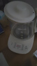 小熊（Bear）迷你养生壶 养生壶煮茶壶煮茶器电热水壶加厚玻璃烧水壶 办公室便携恒温烧水 YSH-D08T8 0.8L 【热销新品】 实拍图