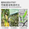 尚洋植物营养土通用种菜养花土壤盆栽种植土兰花多肉泥炭椰土15L 实拍图