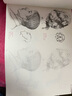 经典全集《伯里曼人体结构教学描摹本》4册全套正版速写人物结构绘画练习教程教材杨建飞主编 实拍图