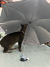 天堂伞伞内层银胶防晒太阳伞遮阳伞三折折叠晴雨伞两用伞336T银丝印 藏青（银胶款336银丝印）8骨 实拍图