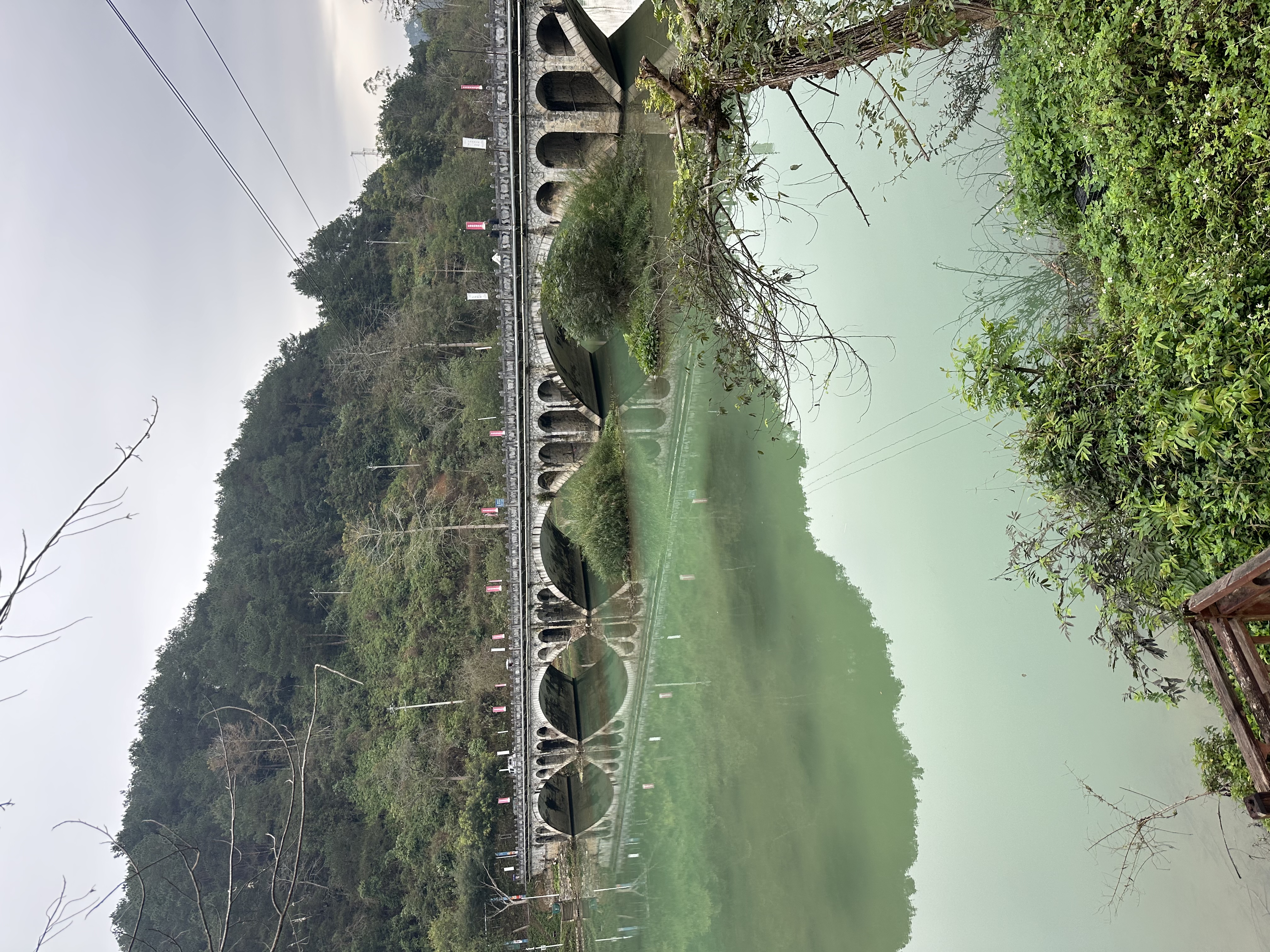 小佩五合一混合猫砂 活性炭豆腐混合 强吸水易结团猫砂可冲厕所除臭 5合1混合砂  14.4kg 规格 实拍图