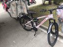 凤凰（Phoenix）山地自行车男女成人儿童铝架单车酷行者 粉色24速 26英寸线碟 实拍图