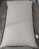 水星家纺枕头枕芯酒店枕头护颈枕头芯家用单个纯棉抗菌可水洗中枕48x74cm 实拍图