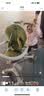 FF遛娃神器婴儿推车可坐可躺轻便可折叠宝宝溜娃口袋推车减震高景观 实拍图