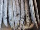 卖鱼七郎冷冻青岛免洗带鱼段净重1.6斤 2-3指宽带鱼刀鱼鱼类海鲜水产 实拍图