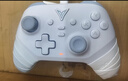飞智沙漠狐 冰魄蓝 多模版无线游戏手柄 类xbox霍尔扳机switch电脑PC手机steamNS 星露谷物语双影奇境 实拍图
