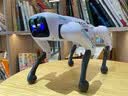 RWTW男孩玩具2025ai智能机器狗遥控机械人工电子电送男送儿童生日礼物 AI智能声控机器狗+精美礼盒 【APP操控+语音声控+智能编程+唱 实拍图