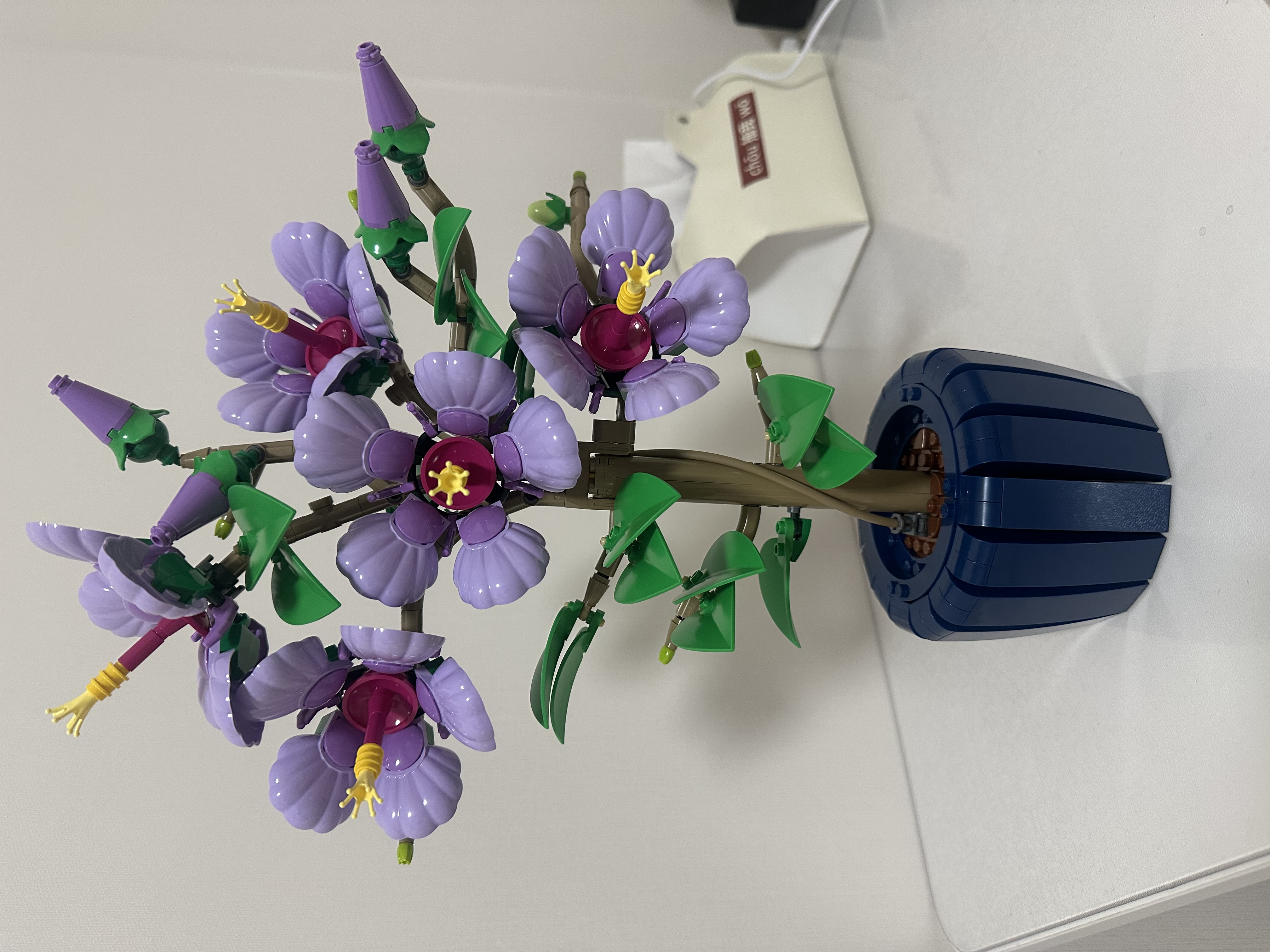 乐高（LEGO）积木10372 芙蓉男女孩玩具生日礼物家居装饰摆件 实拍图