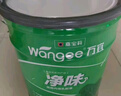 万宜嘉宝莉净味内墙乳胶漆20kg墙面漆自刷水性家用环保白色油漆涂料 实拍图