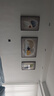 诗六艺家饰客厅装饰画北欧现代简约沙发背景墙挂画三联画大气轻奢壁画晶瓷画 吉祥如意（铝合金外框） 晶瓷画左右50*70+中间100*70亮面 实拍图