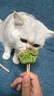 憨憨乐园狗猫零食冻干生骨肉网红猫爪饼干幼成猫咪补充营养发腮猫粮伴侣 实拍图