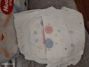 好奇（Huggies）金装拉拉裤XL35片(12-17kg)尿不湿【速干不易红】 实拍图