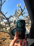 星巴克（Starbucks）星倍醇 即饮咖啡 黑醇摩卡 228ml*6罐 罐装浓咖啡饮料 实拍图