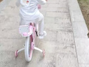 紫榕 儿童自行车女孩单车3-8岁公主款脚踏车男女宝宝小孩童车 公主粉【送货上门】加厚白胎升级 16寸 适合100-120cm 实拍图