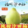 柚满园【纯甜不酸】梅州沙田柚子南福金柚正宗甜碌柚新鲜水果批发梅县 2个带箱4.5-5斤 实拍图