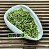 贡苑2026头春头采芽特级小叶苦丁茶250g四川峨眉山茶叶高档礼盒送长辈 实拍图