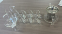沽咚小茗玻璃茶具整套小茶杯套装泡茶器全装家用喝茶功夫茶具配件带过滤 直把9件套-450ml壶 实拍图