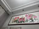 万叶居福（WanYeJu）纯手绘牡丹画花开富贵图新中式客厅装饰画国画挂画山水画字画壁画 花开富贵福满堂A【千层牡丹】 86*218CM【展会级红褐实木镜框】 实拍图