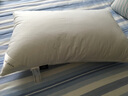 康尔馨希尔顿五星级酒店枕头 抗菌纯棉纤维枕成人家用单人枕头芯 白色 中高枕(74*48cm) 单只 实拍图
