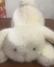 名创优品（MINISO）塔尼兔系列趴姿公仔毛绒玩具玩偶兔子娃娃抱枕生日礼物女 实拍图