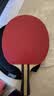 红双喜DHS 三星级乒乓球拍成品拍 升级版横拍H3002双面反胶附乒乓球 实拍图
