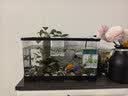 阔庭（KUOTING）鱼缸懒人鱼缸家用客厅办公室水培吊篮金鱼缸过滤鱼缸黑色款 实拍图