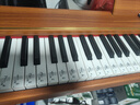 贝琪（Betsy）B351电钢琴88键重锤成人儿童电子钢琴家用练习初学者专业考级钢琴 B351-重力度88键木纹棕 实拍图