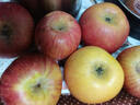 疆域采虹正宗大漠冰糖心苹果水果时令丑苹果新生鲜孕妇陕西水果生鲜整箱 精选8-6个尝鲜装 单果约为90g+ 实拍图