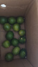 广西塔希提无籽青柠檬薄皮新鲜现摘青柠香水柠檬【百补优选】 【20个】塔希提青柠檬 单果净重50g 实拍图