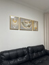 诗六艺家饰客厅装饰画北欧现代简约沙发背景墙挂画三联画大气轻奢壁画晶瓷画 羽鹿生辉（铝合金外框） 晶瓷画左右35*50+中间70*50亮面 实拍图