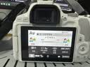 佳能（Canon）佳能200D二代 入门级单反数码相机 轻量便携 自拍视频vlog 半画幅单反 学生旅行家用 拍摄必备套装 实拍图