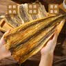 赶海弟鳗鱼片鳗鱼干非油炸低温烘焙小吃高蛋白孕妇学生海味零食100g*1袋 实拍图