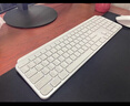 罗技（Logitech）无线键盘MX Keys S蓝牙键盘Keys升级版高端办公键盘无线键鼠套装全尺寸家用充电背光自定义108键 Keys S+Master4【灰白色】 实拍图