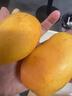 京鲜生 海南小台农芒果3斤装 单果70g起 新鲜水果 实拍图